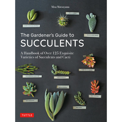 Container Succulents (9780804851053) - Tuttle Publishing