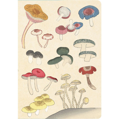 Healing Mushrooms Lined Paperback Journal (9780804855662)