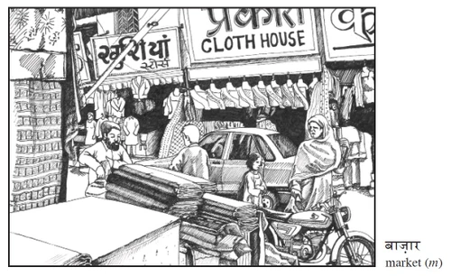 Elementary Hindi (9780804844994)