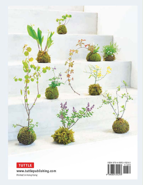 Moss Ball Bonsai (9784805315293)