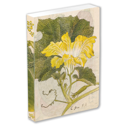 Japanese Squash Blossom Lined Paperback Journal (9780804855792)