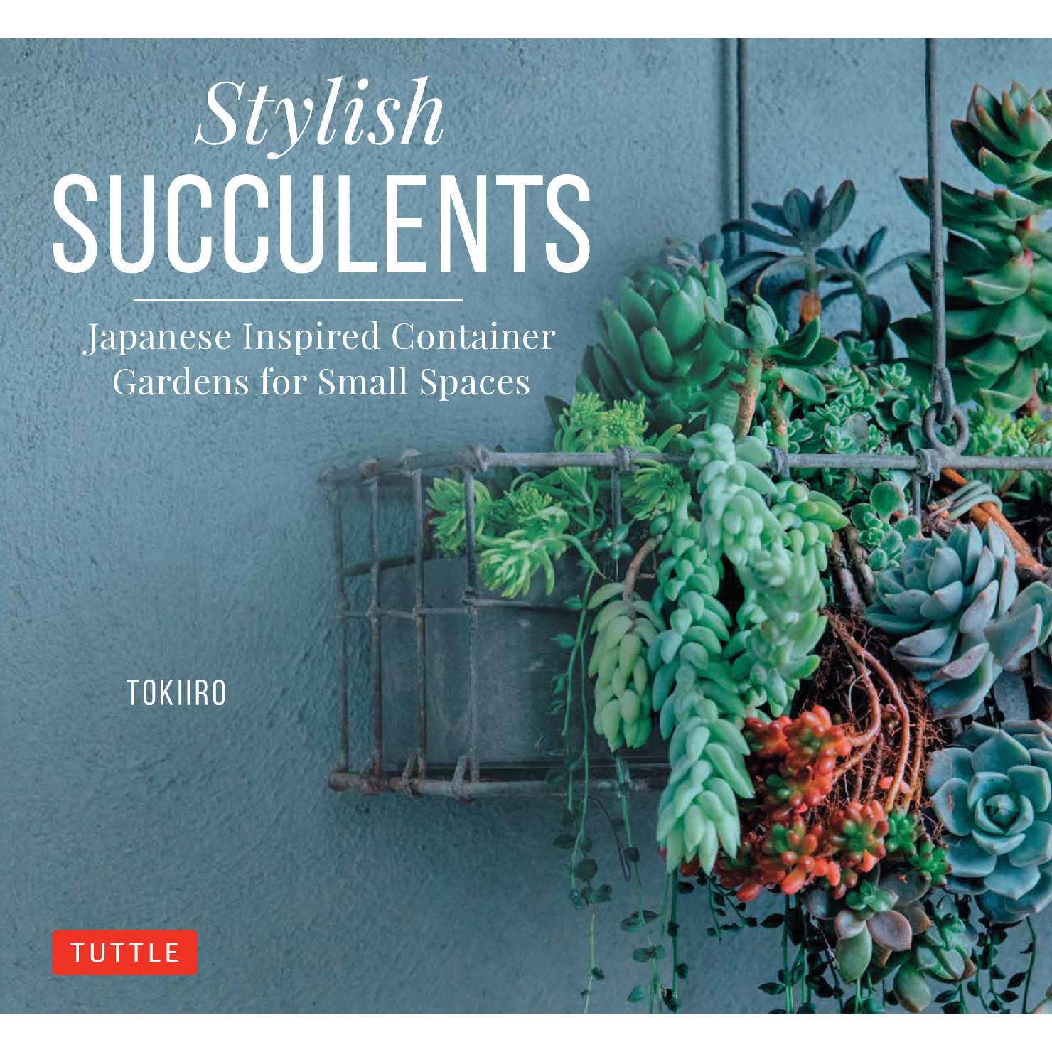 Stylish Succulents (9780804850957) - Tuttle Publishing