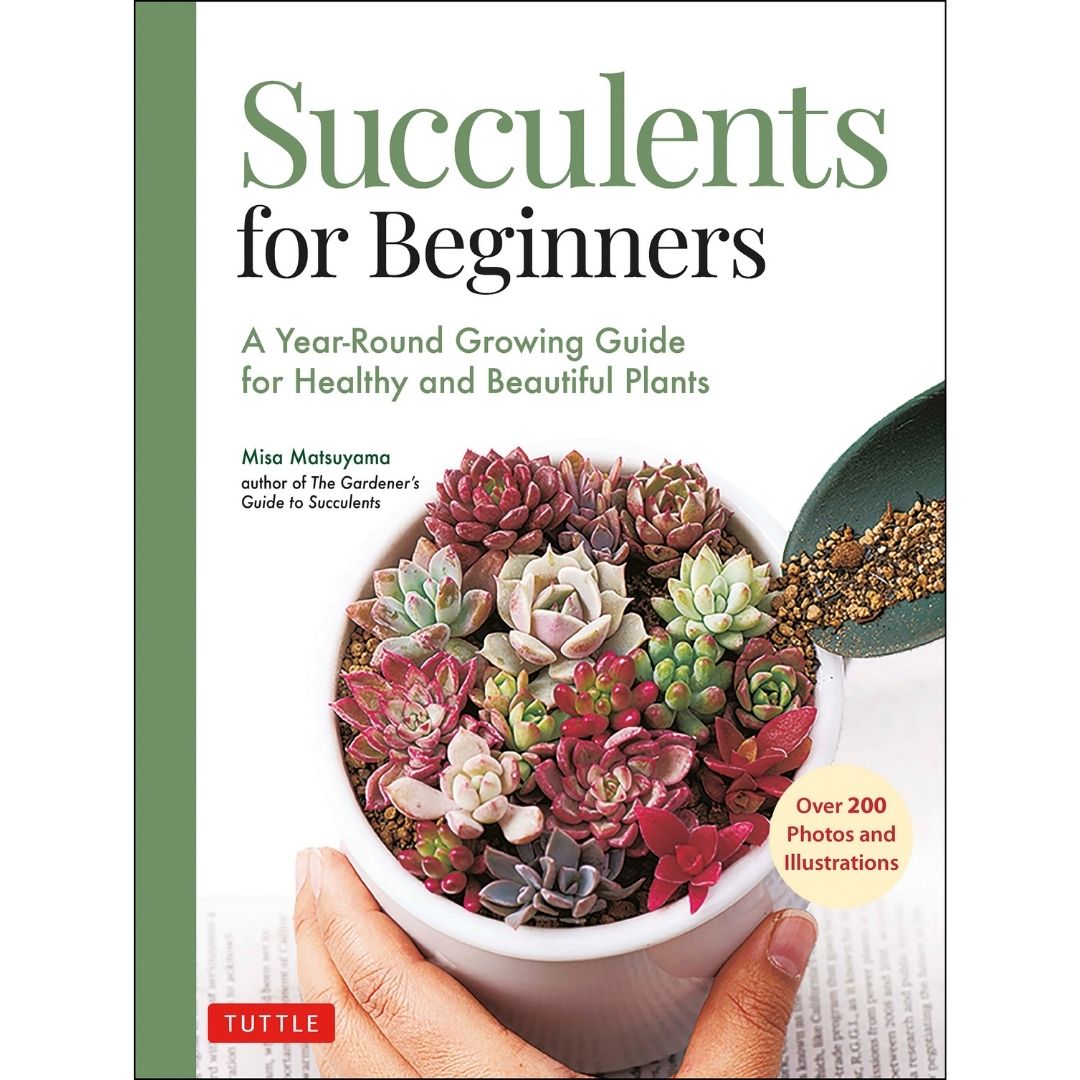 Succulents for Beginners (9780804854603) - Tuttle Publishing