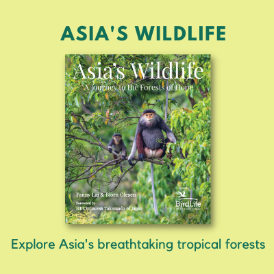 asia-s-wildlife-2021-gift-guide.png