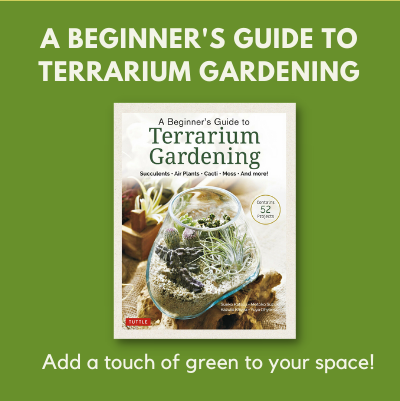 beginner-s-terrarium.png