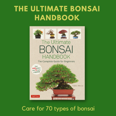 bonsai-handbook.png