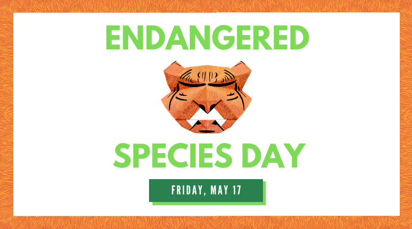 Animals Aglow Lantern Festival - St Louis Events