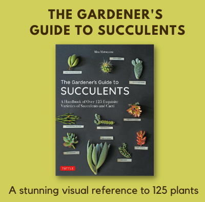 gardener-s-succulents.png