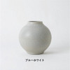 Shigaraki yaki ware Japanese Flower pot Vase HIJICA TONE VASE L White