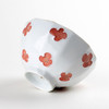 Arita ware Gohan Chawan Japanese Rice bowl Little flower Icchin-technic Red
