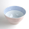 Arita ware Donburi Chawan Rice noodle bowl Soba Udon Gyudon Nisai stripe RedBlue