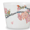 Kutani yaki Soba choko cup for Soba Wild cherry blossoms  Rieko Sumi Japan