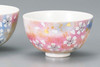 Pair Gohan Chawan Kutani yaki ware Japanese Rice bowl Hana no Mai Cherry pattern