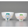 Pair Gohan Chawan Kutani yaki ware Japanese Rice bowl Mizuhiki Ume plum Japan