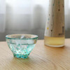 Guinomi Sakazuki Tsugaru Vidro japanese glass Sake cup Mizubasho Skunk cabbag