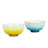 Kutani yaki ware Japanese Rice bowl set of 2 Gohan Yusai Blue Yellow Ryusai