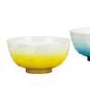 Kutani yaki ware Japanese Rice bowl set of 2 Gohan Yusai Blue Yellow Ryusai