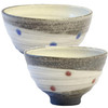 Pair Shigaraki ware Japanese Rice bowl Gohan Chawan Milkyway Blue Red Japan