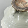 Shigaraki Ware Japanese pottery bowl Kohiki White Yohen Rim Flower Kodai Hachi
