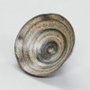 Shigaraki Ware Japanese pottery Small bowl Kobachi Uzushio Swirl Flower bowl