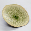 Shigaraki Ware Japanese pottery Lotus Leaf Large Plate Made in Japan