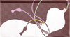 Noren Japanese door curtain 33.46x17.6 in polyester Hyotan Gourd pattern Japan