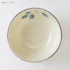 Japanese Mino Ware Donburi Bowl  Aoba Leaf Design, 850ml JapanGyudon