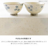 Japanese Mino Ware Donburi Bowl  Aoba Leaf Design, 850ml JapanGyudon