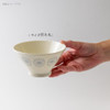 Mino ware Japanese Ceramic Rice bowl Gohan Chawan Moco Pasten blue Japan