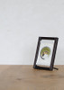Kyoto Koyomi Frame Seasonal Textile Art Frame warm and cozy Owl Autumn