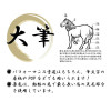 Houshou Large Calligraphy Brush White Horse Hair Japan Pro Art Brush Nara Japan