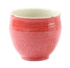 Yunomi Shigaraki yaki ware Japanese pottery Green tea cup Saiun Red Japan