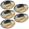 Shigaraki ware Japanese pottery small plate set 5 Akatsuki Made in Japan