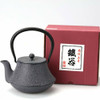 Kyusu Japanese Tea kettle Nanbu Cast Iron Fuji Cherry Pattern 0.4L Japan