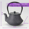 Kyusu Japanese Tea kettle Nanbu Cast Iron Fuji Cherry Pattern 0.4L Japan