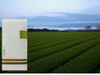 Sencha Kirishima cha 100% Organic Japanese Green Tea Umame Serect of soft sprout
