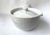 Kyusu Kyo Kiyomizu yaki ware Porcelain Tea pot White Crystal glaze 260ml Japan