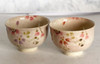 Sake cup and Bottle set Kyo Kiyomizu yaki ware Guinomi Tokkuri Japan Hana Biyori