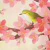 Noren Hanging Door Curtain Deco Spring Flower and Bird nightingale Made in Japan