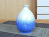 Arita yaki porcelain Sake Cup Bottle set Guinomi Tokkuri Aizome Suiteki Japan