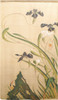 Noren Japanese Hanging curtain Tapestry Iris flower and bird motif Jakuchu Japan