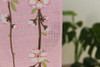 Noren japanese hanging curtain 150*85cm Sakura Wagasa Japanese umbrella