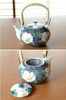 Arita yaki ware Green Tea cup and Pot set Kyusu Yunomi Dami White flower Japan