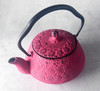 Kyusu Nanbu Tekki Japanese Cast Iron Tea Pot Red Sakura Cherry 0.5L Japan