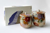 Pair Yunomi Kutani yaki ware Japanese green tea cup Lid Hanazume Flower Japan