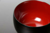 Pair Owan Japanese soup bowl Echizen Lacquerware Handcraft Iroha Mutsumi wan