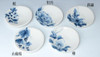 Kyoto Japanese small plate set of 5 Kyo Kiyomizu yaki Sometsuke Five flowers