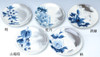 Kyoto Japanese serving plate set of 5 Kyo Kiyomizu yaki Sometsuke Freely flowers