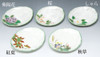 Kyoto Japanese serving plate set of 5 Kyo Kiyomizu yaki Four seasons flowers