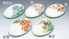 Kyoto Japanese Oval plate set of 5 Kyo Kiyomizu yaki Drew Four seasons flowers